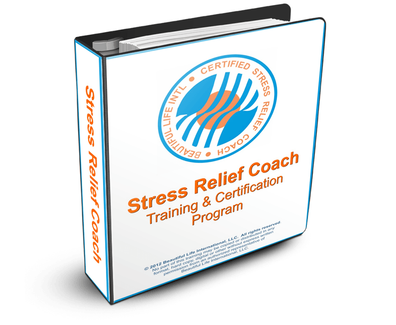 Stress Relief MANUAL Cover 3D