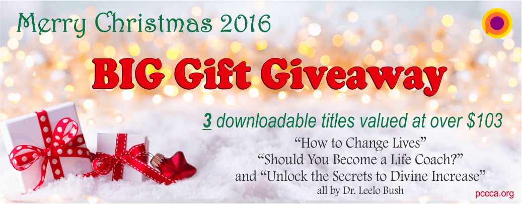 Big Christmas Gift Giveaway 2016 at https://pccca.org